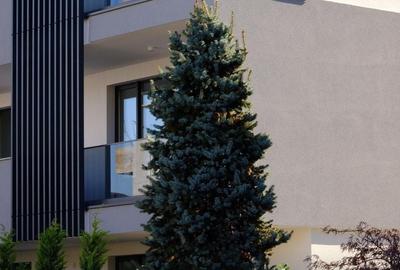 Apartament cu 3 camere în Băneasa - 9
