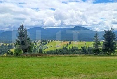 Teren de 3936 mp, în Tiha Bârgăului - 5