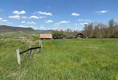 Teren de 659000 mp, în Copșa Mică - 5