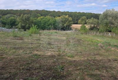 Teren Construcții intravilan de 1350 mp, în Plopu - 5