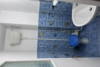 Apartament cu 3 camere decomandat în Seleuș - 2