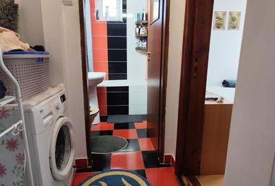 Apartament cu 2 camere semidecomandat în Botoș - 12