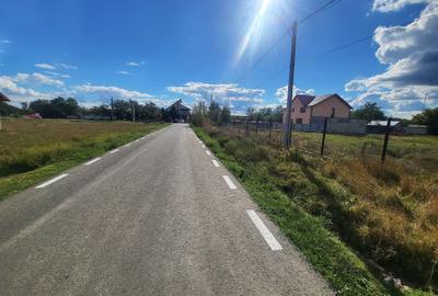 Teren Construcții intravilan de 8400 mp, în Pietroiu - 1