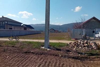 Teren de 3460 mp, în Dumbrava - 1