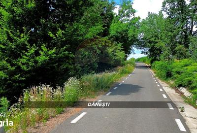 Teren de 6115 mp, în Șișești - 7