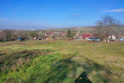 Teren de 2000 mp, în Topolog