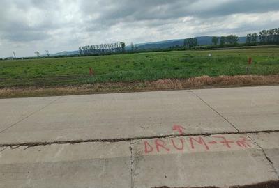 Teren de 500 mp, în Dancu - 4