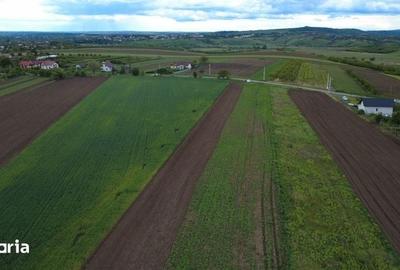 Teren de 5200 mp, în Șendriceni
