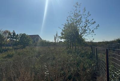 Teren Construcții intravilan de 1000 mp, în Mogoșoaia - 3