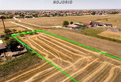 Teren intravilan de 3000 mp, în Nojorid - 6