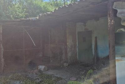 Casă individuală cu 4 camere cu Canalizare în Independența - 11