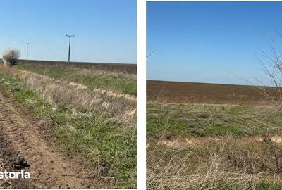 Teren de 6200 mp, în Vânători-Neamț