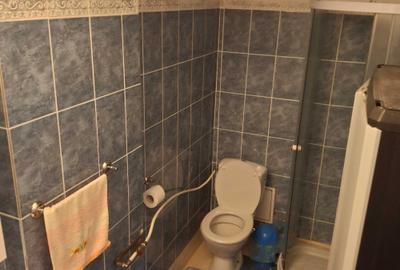Apartament cu 3 camere decomandat în Terezian - 6