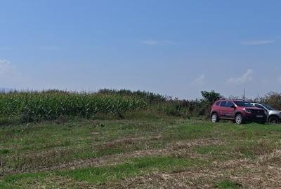 Teren agricol intravilan de 35000 mp, în Hălchiu - 3