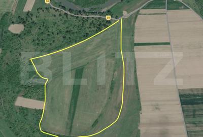 Teren de 246000 mp, în Crăciunelu de Jos
