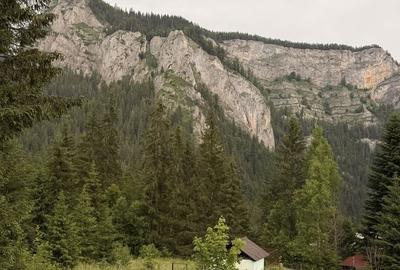 Teren de 817 mp, în Lacu Roșu - 4