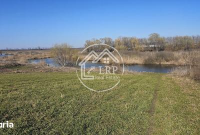 Teren de 646 mp, în Dascălu - 9