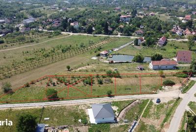 Teren de 500 mp, în Viile Satu Mare