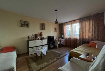 Garsonieră decomandată în Valea Oltului - 3