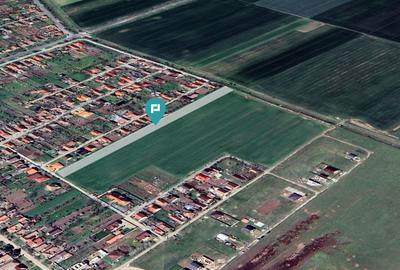 Teren agricol intravilan de 7317 mp, în Zimandu Nou - 1