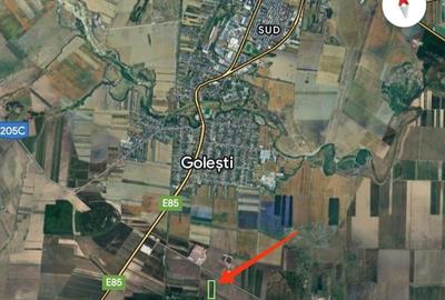 Teren de 6500 mp, în Golești