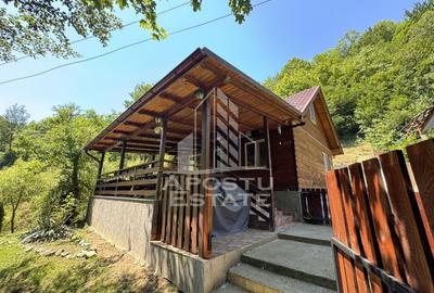 Casă individuală cu 5 camere cu Canalizare în Dumbrava de Jos - 54