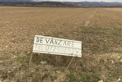 Spațiu comercial, în Vadu Crișului - 3