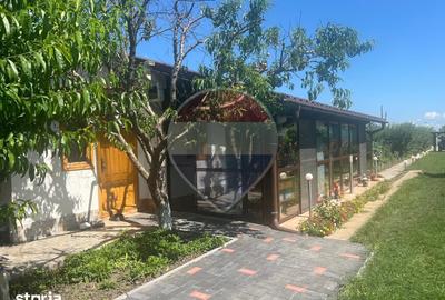 Casă cu 2 camere cu Teren 6943 Mp în Gologanu
