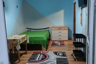Garsonieră decomandată în Micălaca