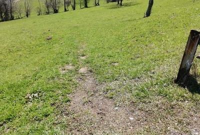 Teren de 10050 mp, în Moieciu - 3
