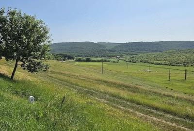 Teren de 7200 mp, în Crețești - 4