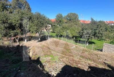 Casă individuală cu 4 camere cu Teren 1413 Mp în Poiana Sibiului - 13