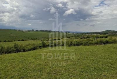 Teren agricol extravilan de 11500 mp, în Daia - 9