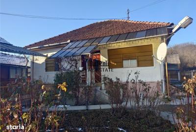 Casă cu 4 camere cu Teren 4977 Mp în Ribița - 4