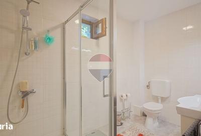 Apartament cu 4 camere decomandat în Clăbucet