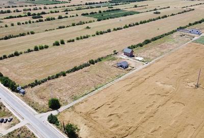 Teren Construcții intravilan de 440 mp, în Berceni - 8