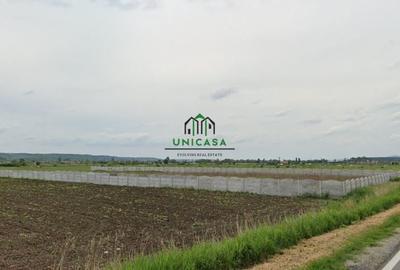 Teren Construcții intravilan de 2500 mp, în Mihăești - 3