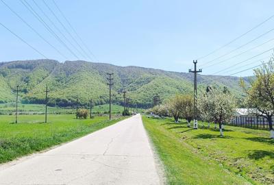 Teren de 8000 mp, în Bartolomeu