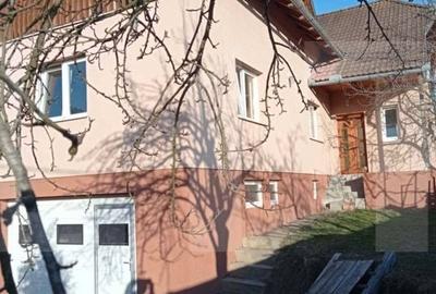 Casă cu 4 camere în Petriceni