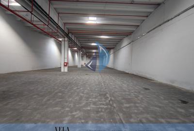 Spațiu industrial, de 2,210 mp, în Depozite