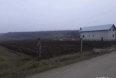 Teren de 2000 mp, în Central
