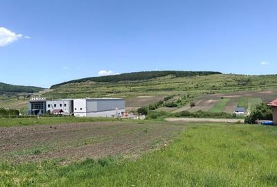 Teren de 2900 mp, în Tureni - 3