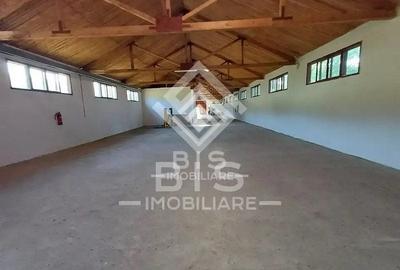 Spațiu industrial, de 1,200 mp, în Sud-Vest - 2