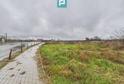 Teren Construcții intravilan de 4131 mp, în Sud-Est - 5