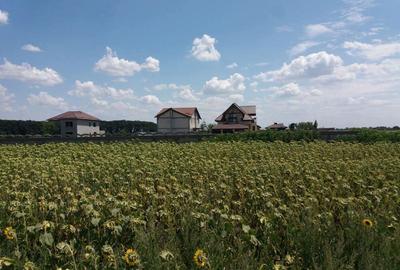 Teren de 756 mp, în Frumușani - 8