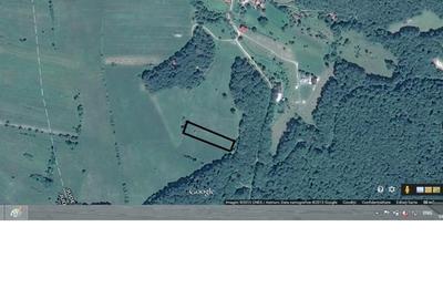 Teren de 4041 mp, în Dobârlău - 5