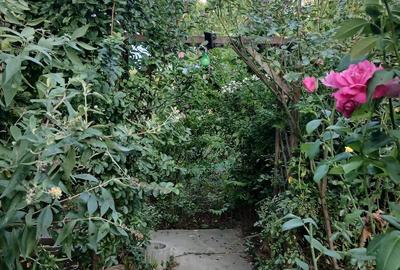 Casă cu 2 camere cu Teren 1050 Mp în Buda