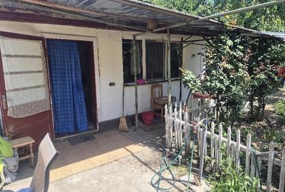 Casă cu Teren 489 Mp în Plopi - 3