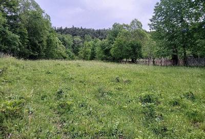 Teren de 2300 mp, în Valea Doftanei