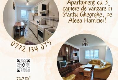 Apartament cu 3 camere în Gării
